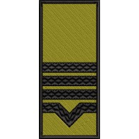 GRADE MAISTRU MILITAR CLASA II / PATCH CU SCAI