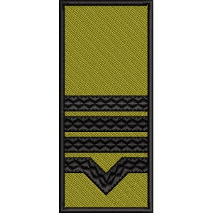 GRADE MAISTRU MILITAR CLASA II / PATCH CU SCAI