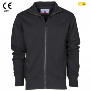 hover image