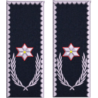 GRADE CHESTOR POLITIE IGPR