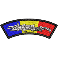 Patch-uri militare  / EMBLEMA CAP DACIC TRICOLOR 1