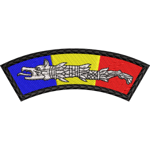 Patch-uri militare  / EMBLEMA CAP DACIC TRICOLOR 1